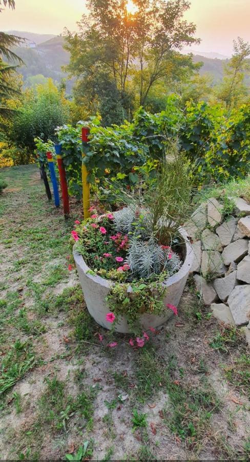 Le Rose Di Mapi Villa Mango Eksteriør billede