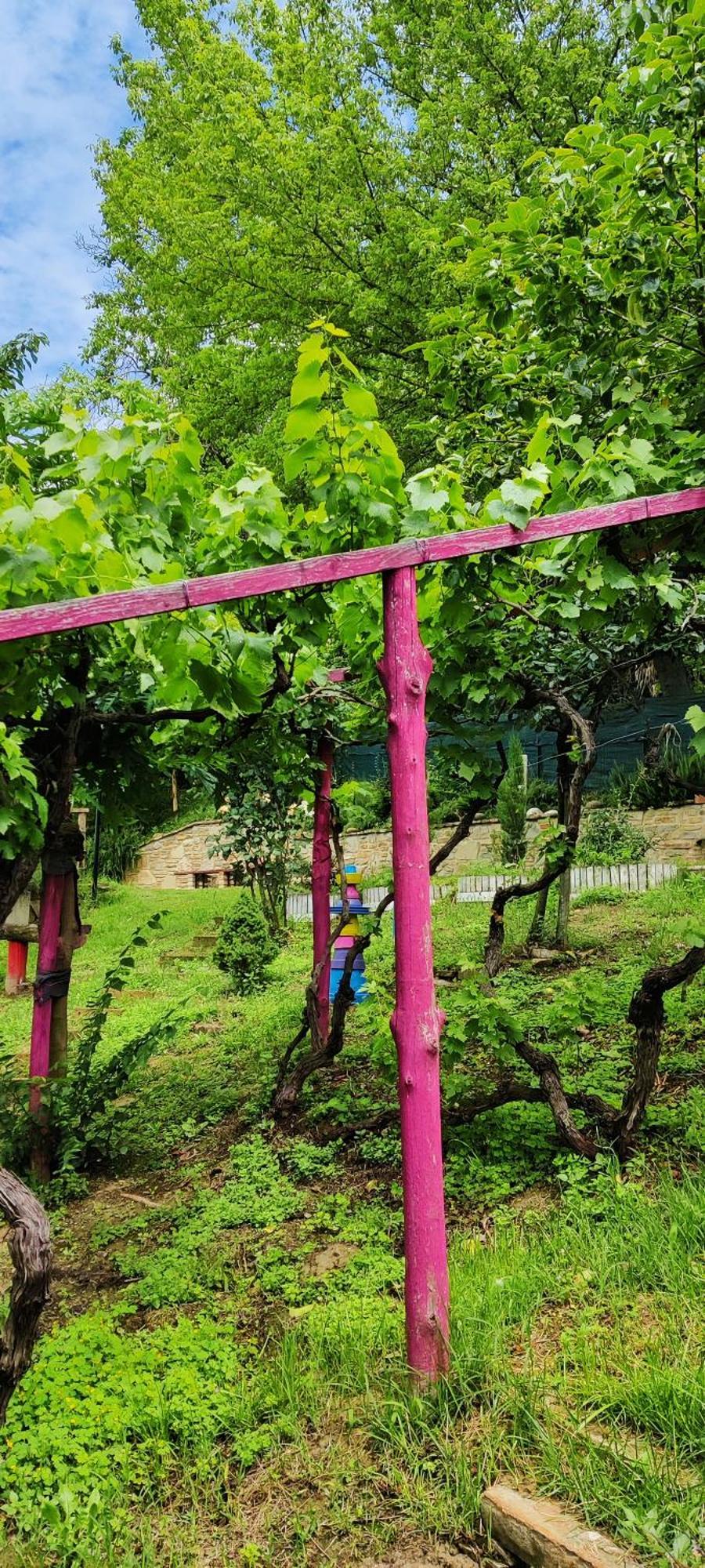 Le Rose Di Mapi Villa Mango Eksteriør billede