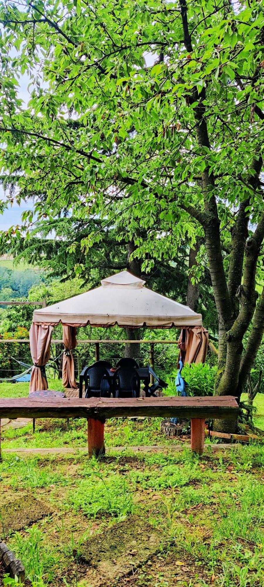 Le Rose Di Mapi Villa Mango Eksteriør billede