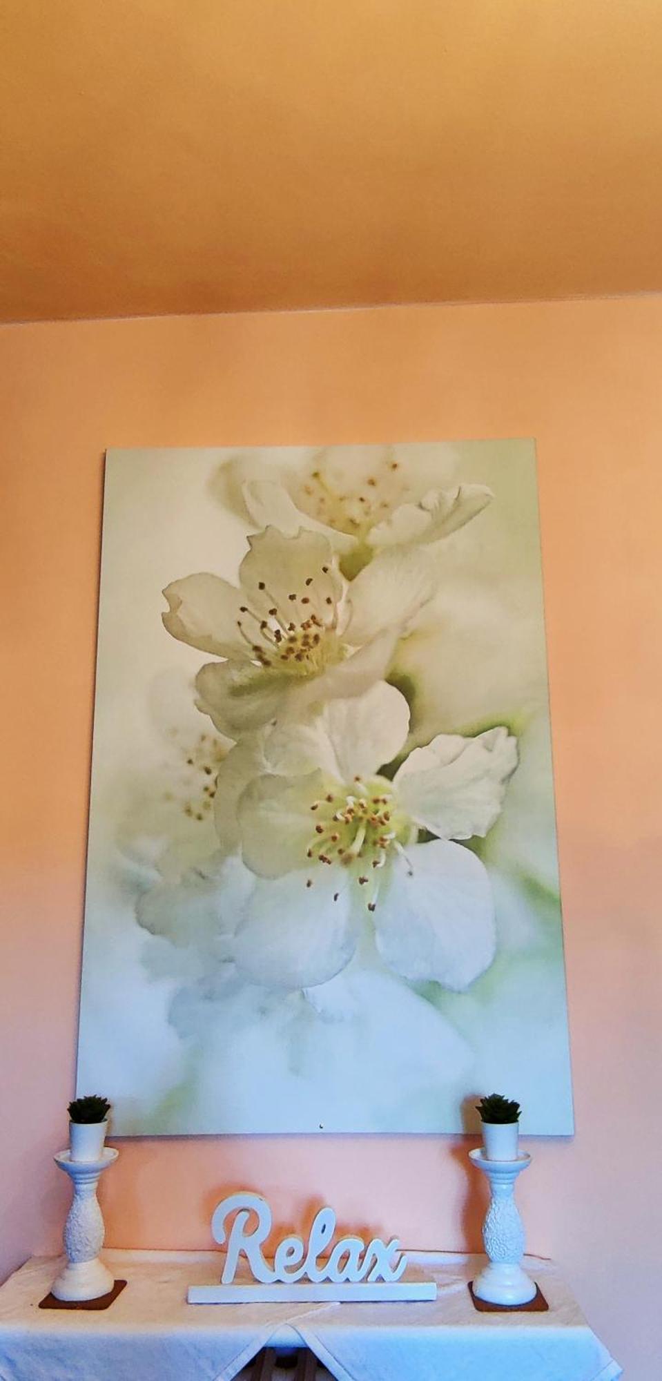 Le Rose Di Mapi Villa Mango Eksteriør billede