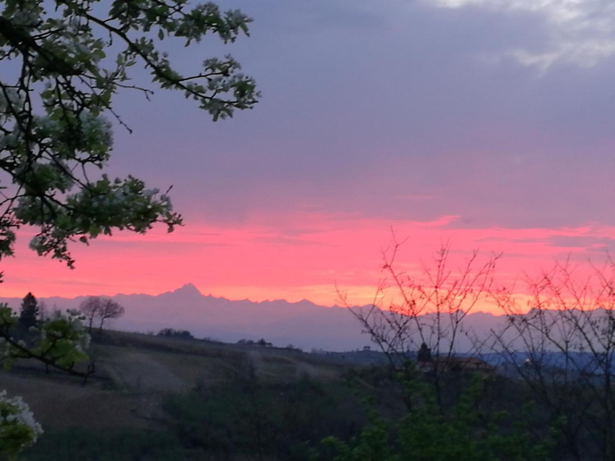 Le Rose Di Mapi Villa Mango Eksteriør billede