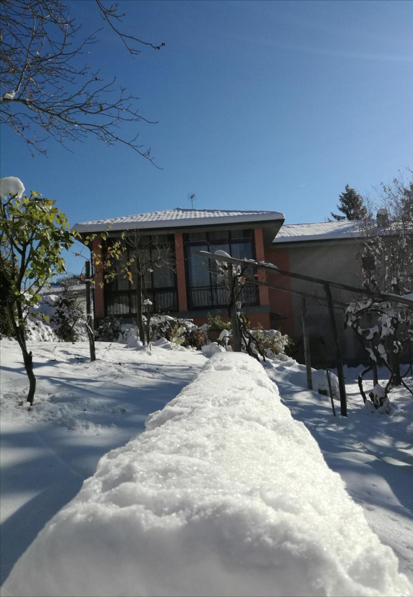Le Rose Di Mapi Villa Mango Eksteriør billede