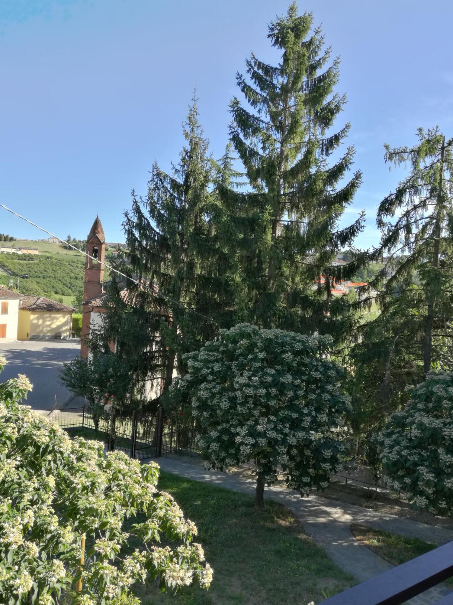 Le Rose Di Mapi Villa Mango Eksteriør billede