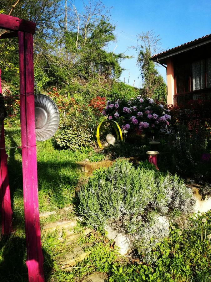 Le Rose Di Mapi Villa Mango Eksteriør billede